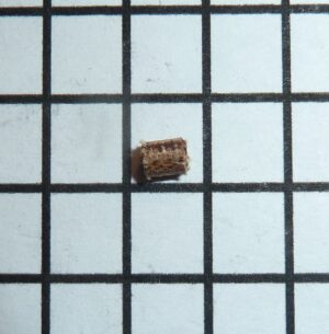 Abu Garcia Break block